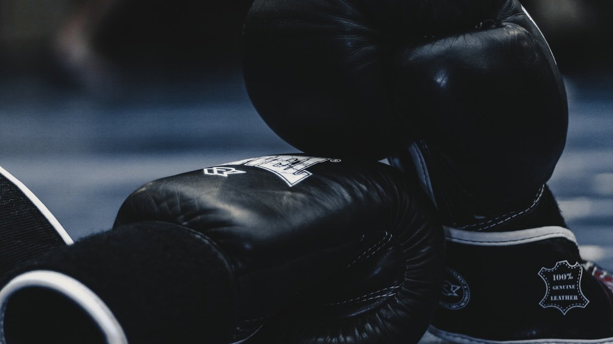 Türkiye Kickboks Federasyonu - INSTAGRAM Story/Hikayesi